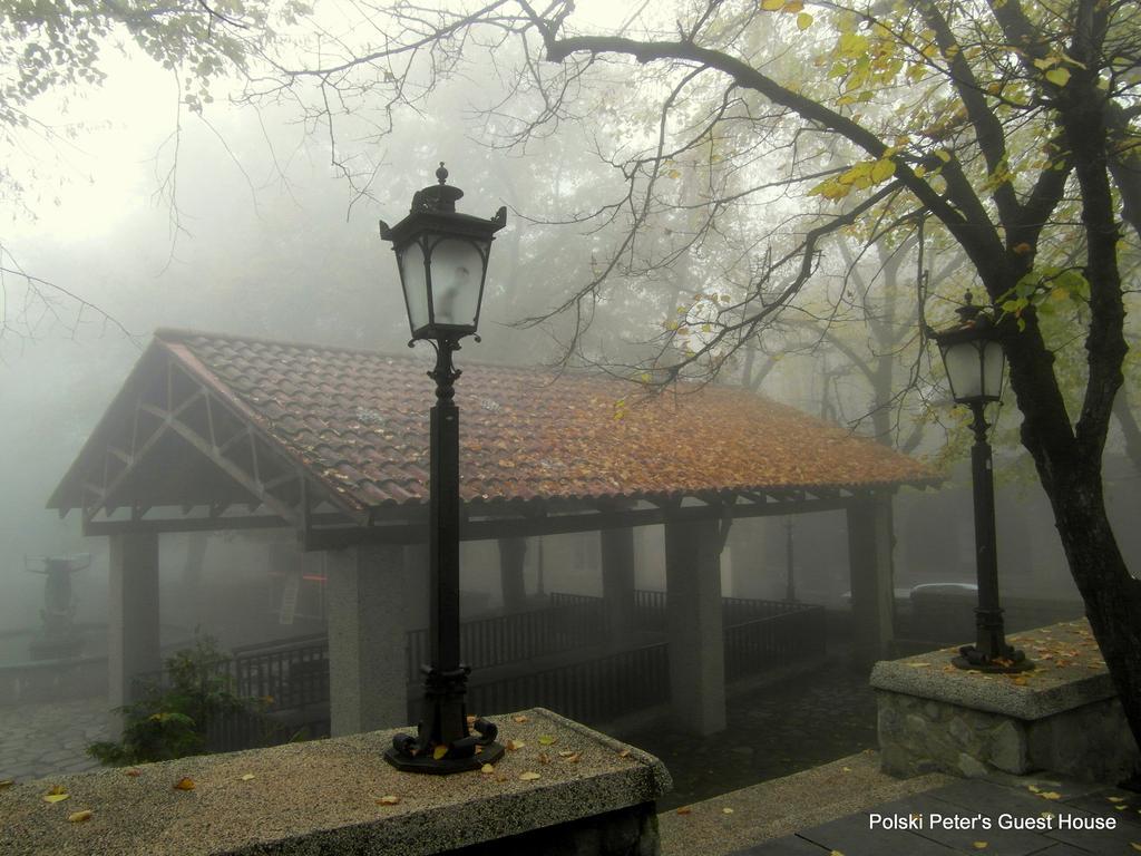 Peter'S Guest House Sighnaghi Esterno foto